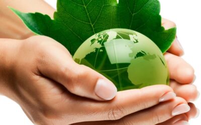 ¿Por qué una auditoría ambiental?