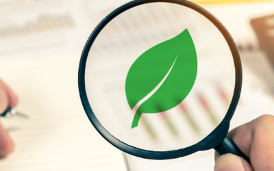 Cuáles son las ventajas de una auditoria ambiental