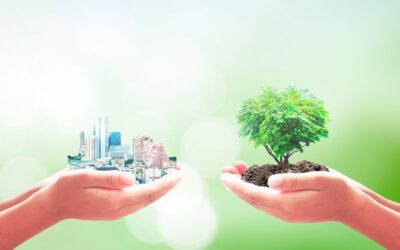 El reto de la gestión ambiental y desarrollo sostenible